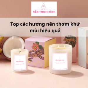 Top các mùi hương khử mùi hiệu quả