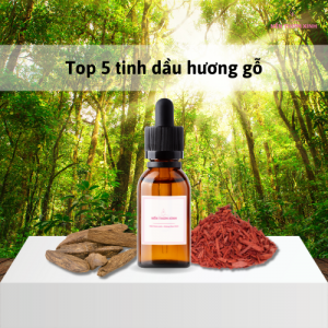 Top 5 tinh dầu hương gỗ