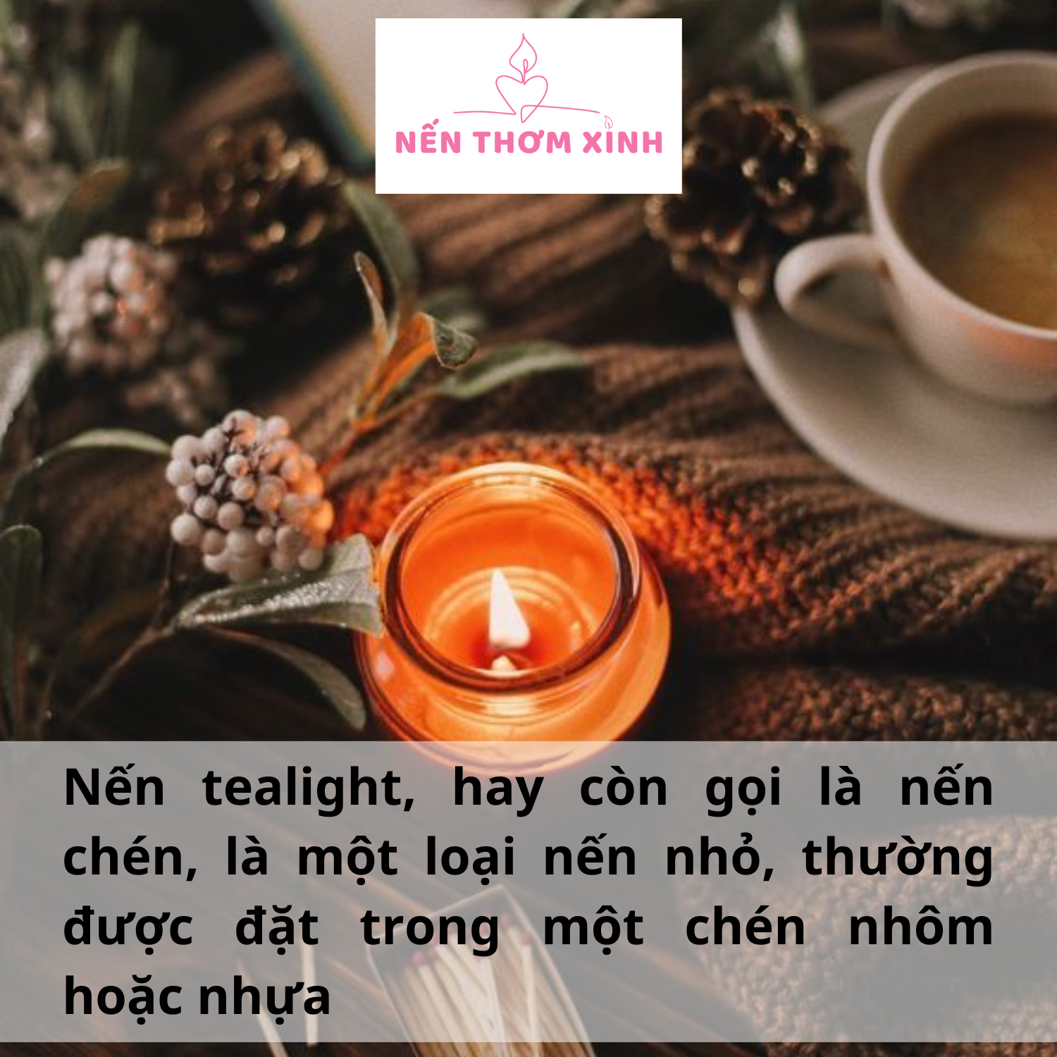 nến tealight là gì 